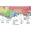 ﻿Mitochondrial DNA-based phylogeography o ...